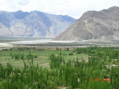 Jeep in Nubra