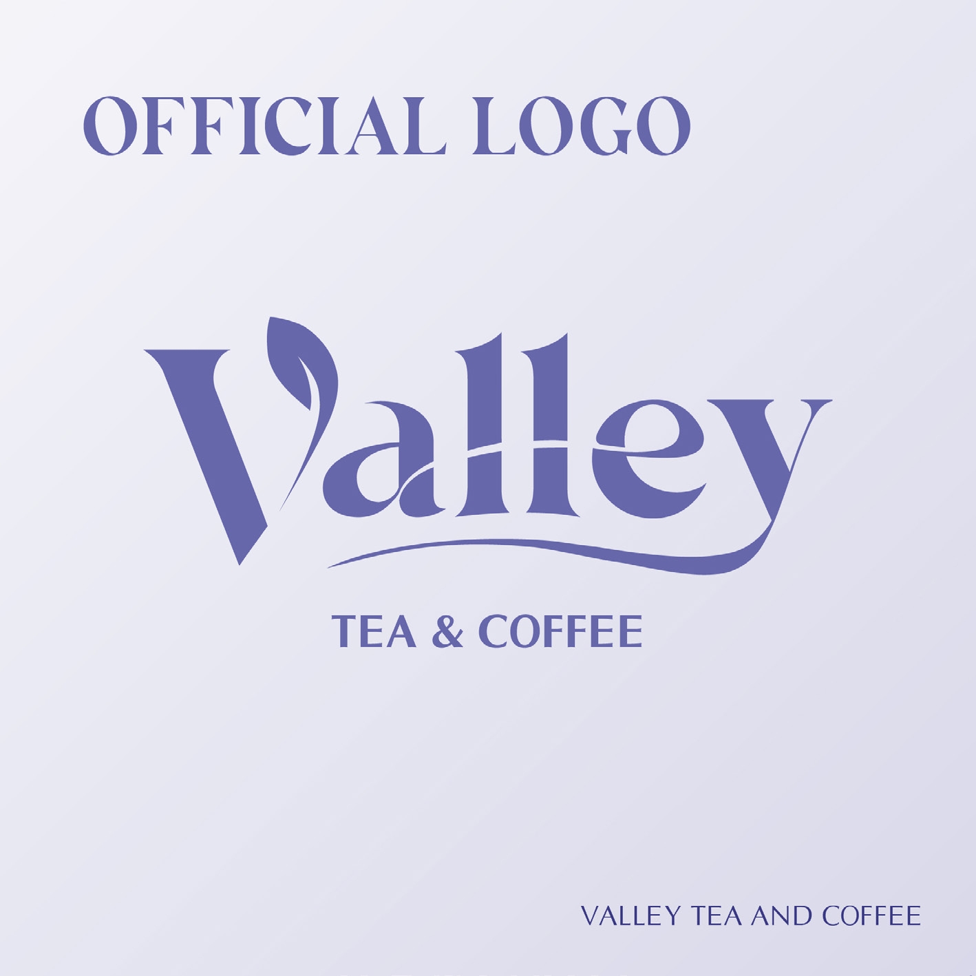 bộ nhận diện thương hiệu valley do VSS Corp thực hiện
