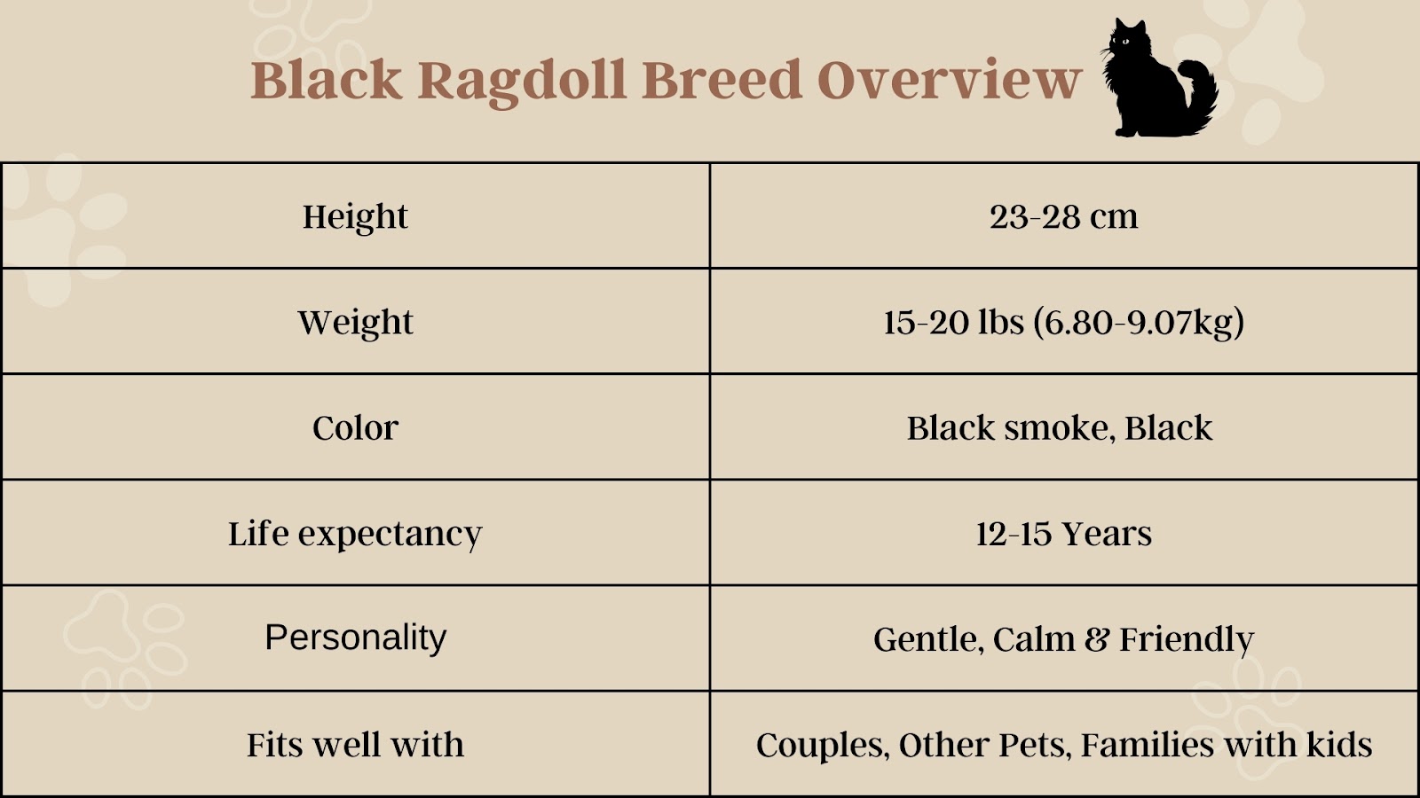 Black Ragdoll Cat Breed Overview