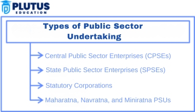 What is Public Sector Undertaking