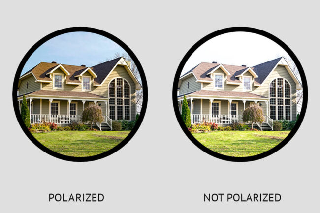 Polarizing Filter