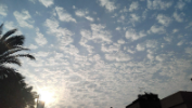 Sky filled with cirrocumulus clouds