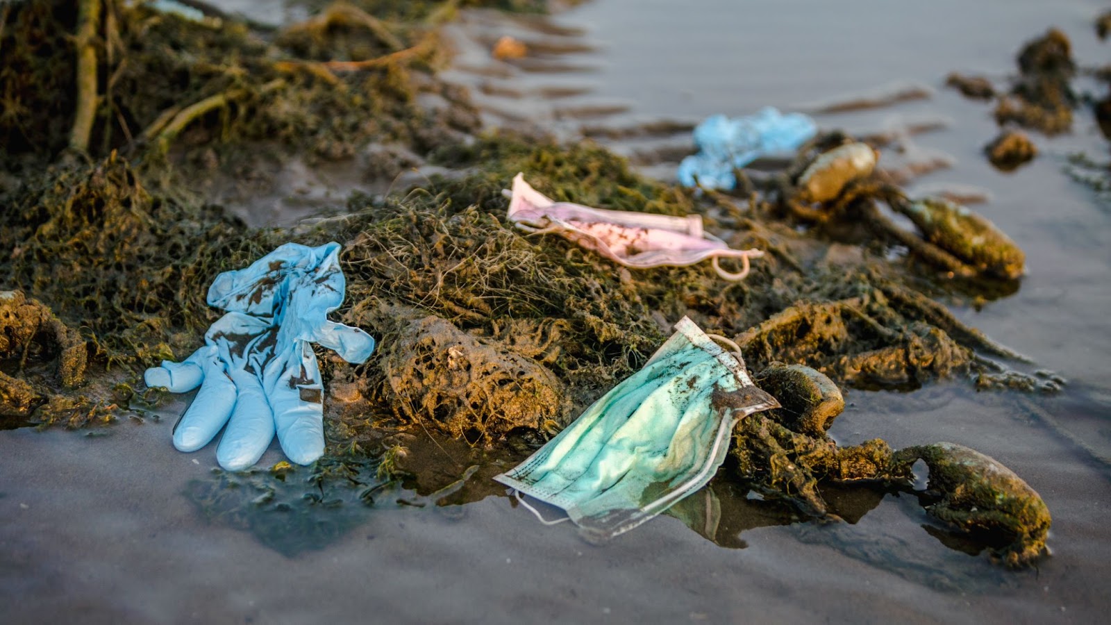 Plastic Pollution and Its Environmental Impact