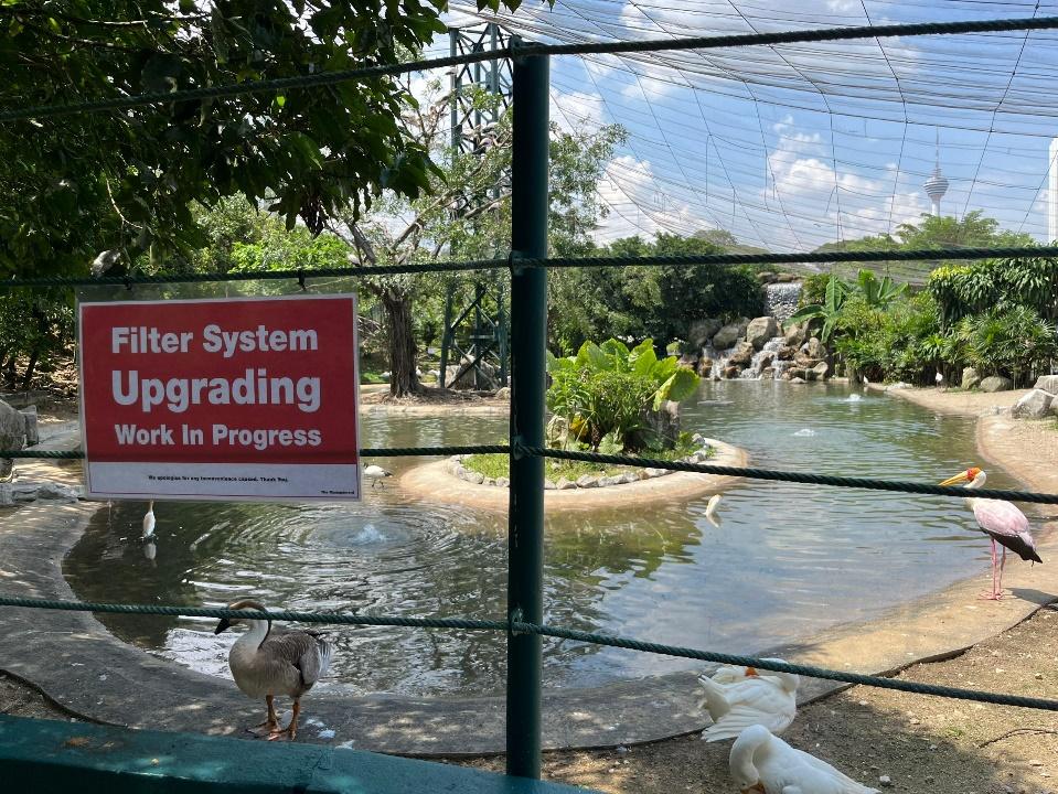 A pond with ducks and a sign

Description automatically generated