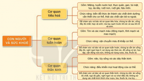 BÀI 25. ÔN TẬP VỀ CHỦ ĐỀ CON NGƯỜI VÀ SỨC KHỎETHỰC HÀNHCâu 1: Hoàn thành sơ đồ theo gợi ý sau và chia sẻ với các bạn.Đáp án chuẩn:Câu 2: Lựa chọn, sắp xếp những thẻ chữ về thức ăn, đồ uống ở bảng dưới đây vào hai nhóm có lợi và không có lợi cho cơ quan tiêu hóa, tuần hoàn, thần kinh. Vì sao em lại sắp xếp như vậy?Đáp án chuẩn:Thức ăn, đồ uống có lợi Thức ăn đồ uống không có lợi Cơm trắng, bánh mì, phở, canh cua, sữa, nộm dưa chuột, cà chua, canh cá, đậu sốt cà chua, tôm rang thịt, nước hoa quả tươi, lạc rang, rau củ quả luộc, cá kho, chè hạt sen, nước đã đun sôi, thịt bò xào, súp bí đỏ.Gà rán, pho mát, bim bim, khoai tây chiên, xúc xích, cà phê, nước ngọt có ga, kem - Lý do: Những nguyên liệu tự nhiên, không có nhiều dầu mỡ sẽ không ảnh hưởng xấu đến sức khỏe, còn những nguyên liệu chiên rán và đồ hộp sẵn sẽ không đảm bảo cho sức khỏe.VẬN DỤNG