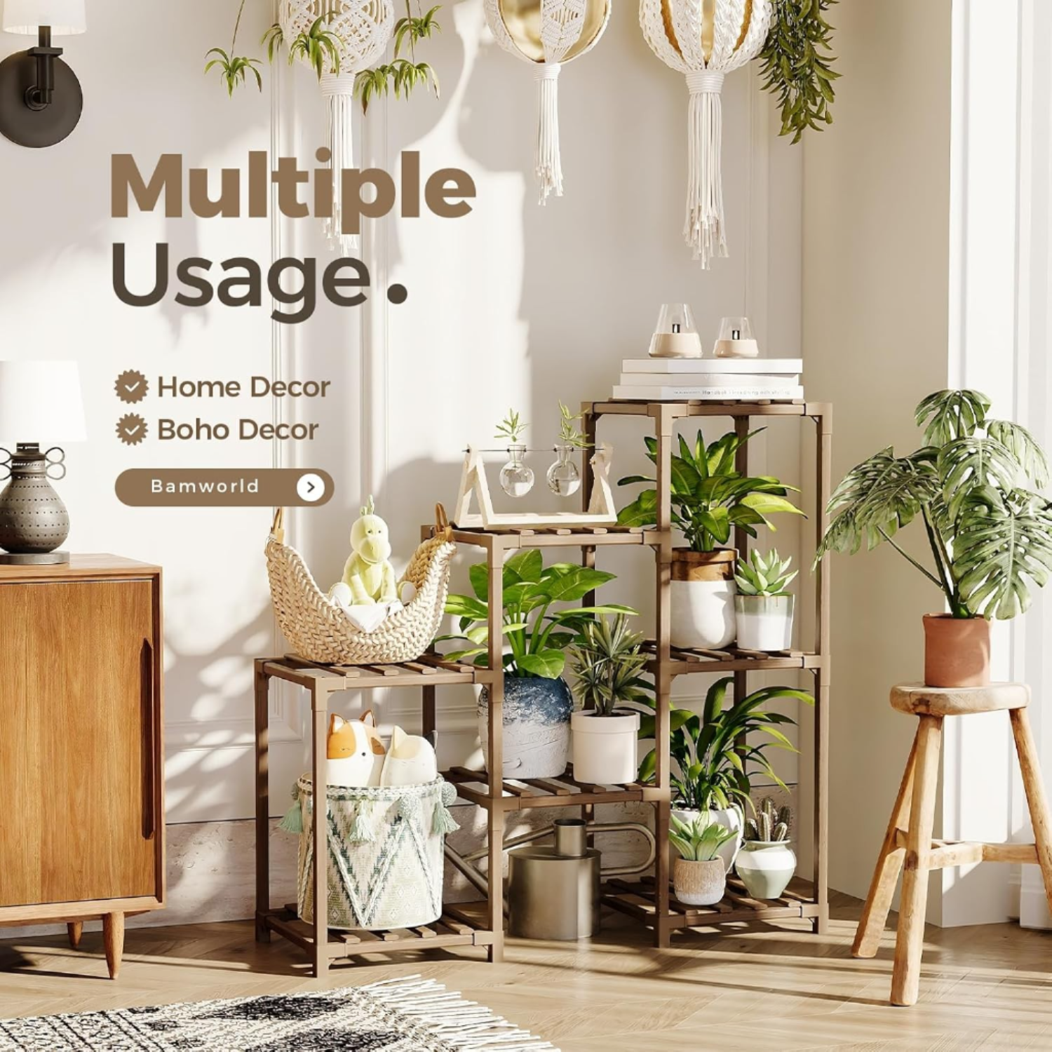 Indoor Plants for Arizona's Desert Climate