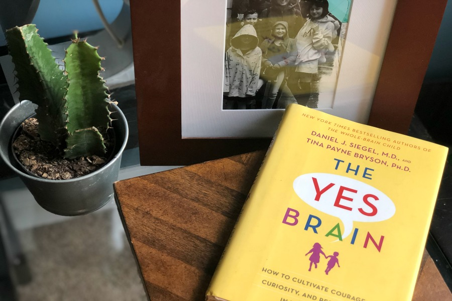 The yes brain best books on parenting kept beside a photoframe.