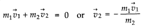 NCERT Solutions for Class 11 Physics Chapter 5 Laws of Motion Q17