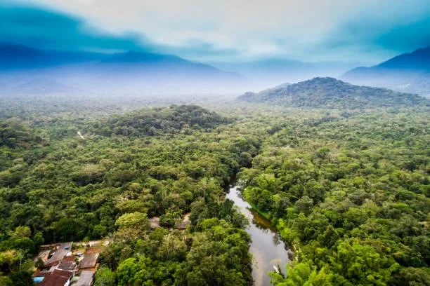 Discover Untouched Nature in 18 Stunning Images, untouched landscapes, pristine nature, nature, forest, landscape, raw environment, pure scenes