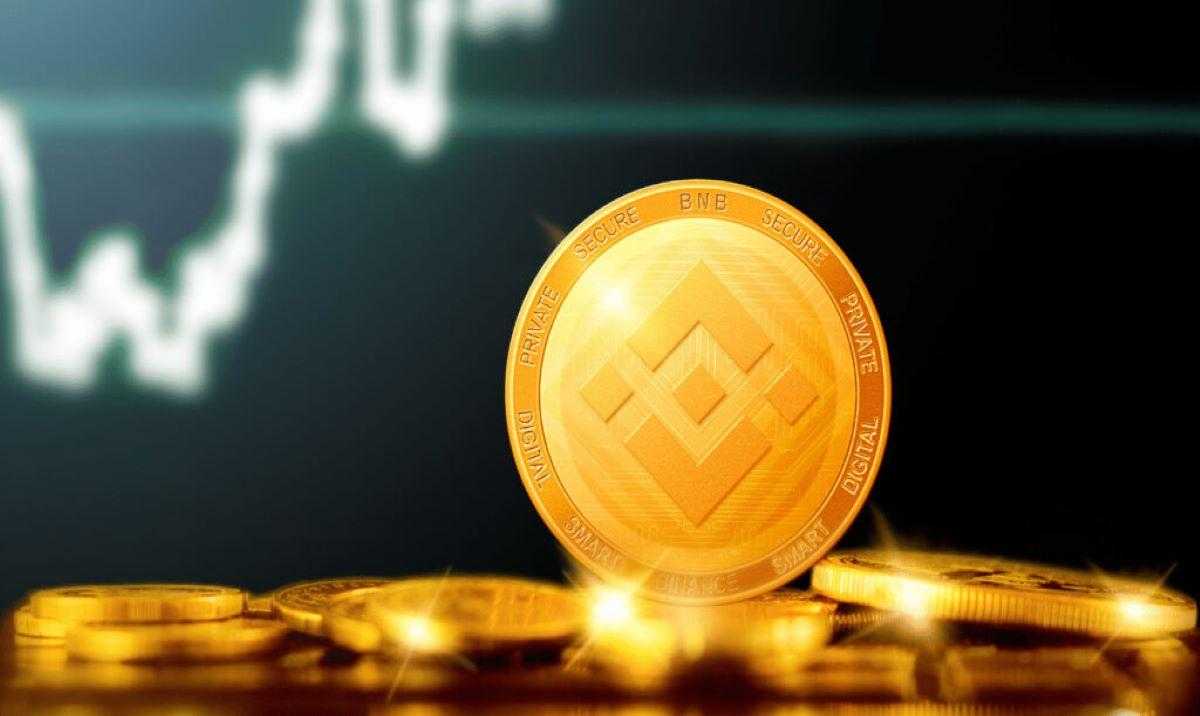 Binance Coin (BNB)
