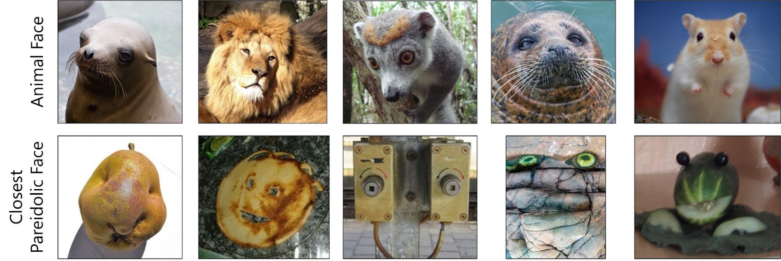 A row of five photos of animal faces atop five photos of inanimate objects that look like faces