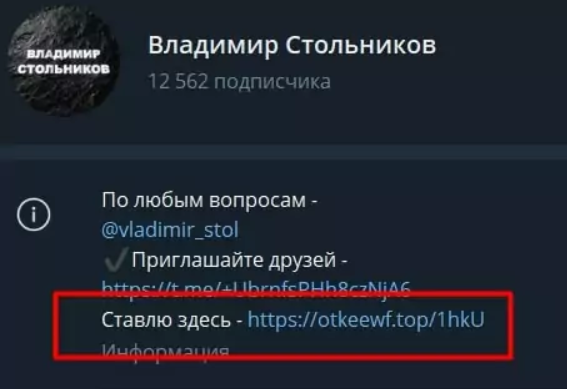 владимир стольников