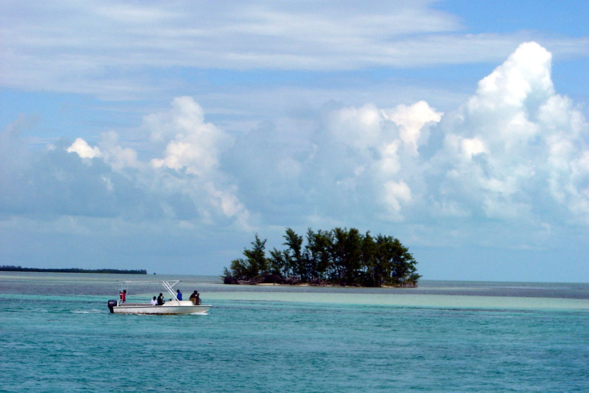 some people are in the boat trying to do fishing 