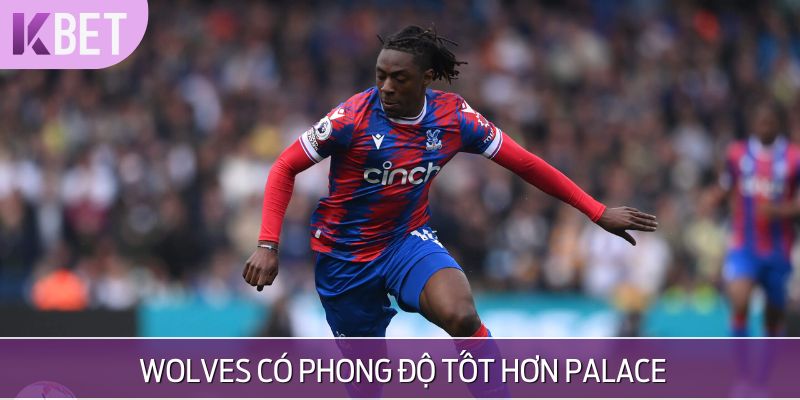 Thống kê phong độ - Crystal Palace trồi sụt, Wolves ổn định
