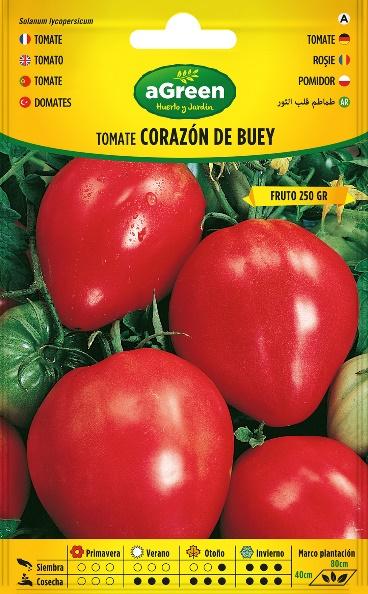 https://agreenhuertoyjardin.com/wp-content/uploads/2022/04/3_ag_000725bolsh-tomate_corazon_buey-1.jpg