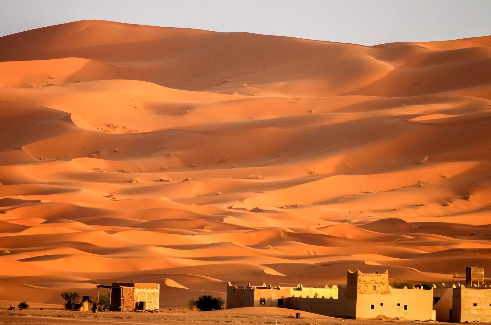Desert Destinations