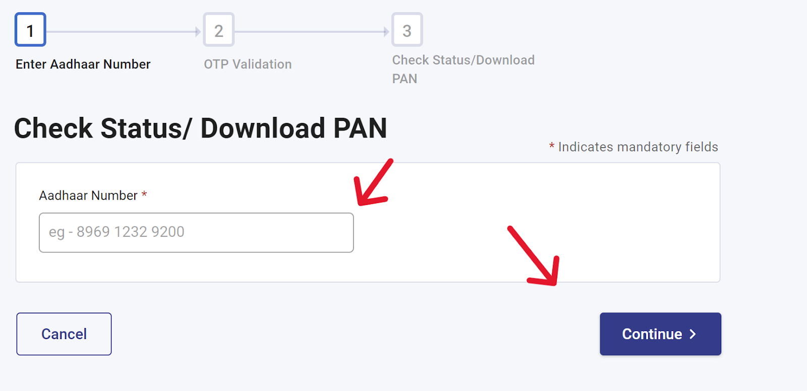 Instant e PAN Status Check