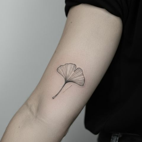 Minimalist Ginkgo Leaf Tattoo