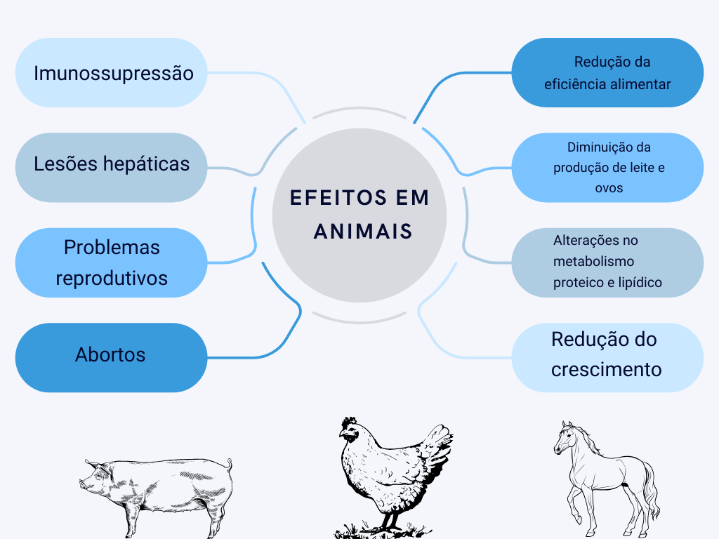 Efeito das Micotoxinas em Animais.