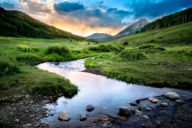 15 Trails Through Golden Grasses and Light, golden trail, grass path, nature, forest, landscape, warm land, sunset walk