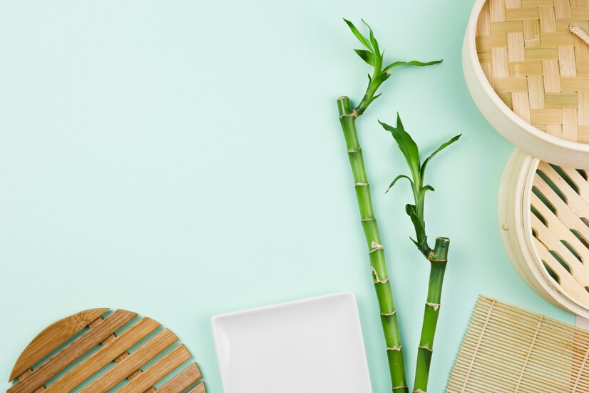 bamboo plant vastu