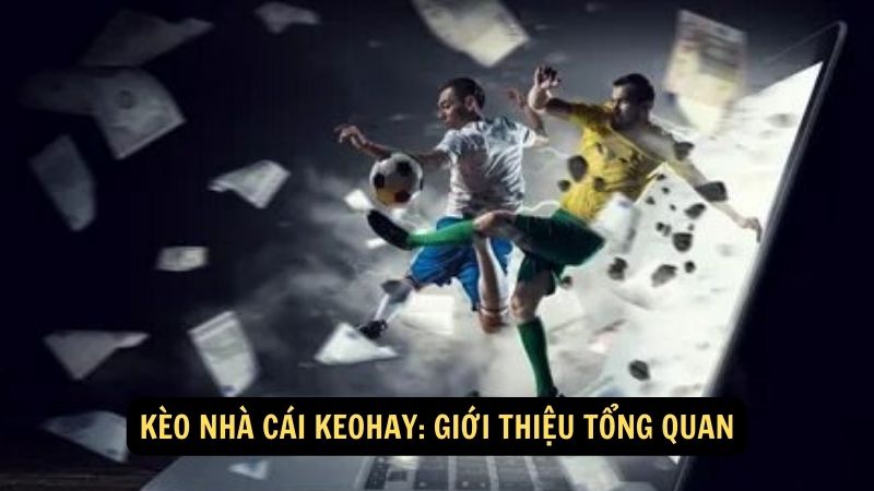 Kèo nhà cái keohay: Giới thiệu tổng quan