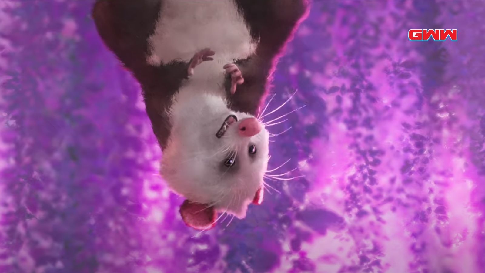 A possum hangs upside down with a mischievous expression, surrounded by purple light.