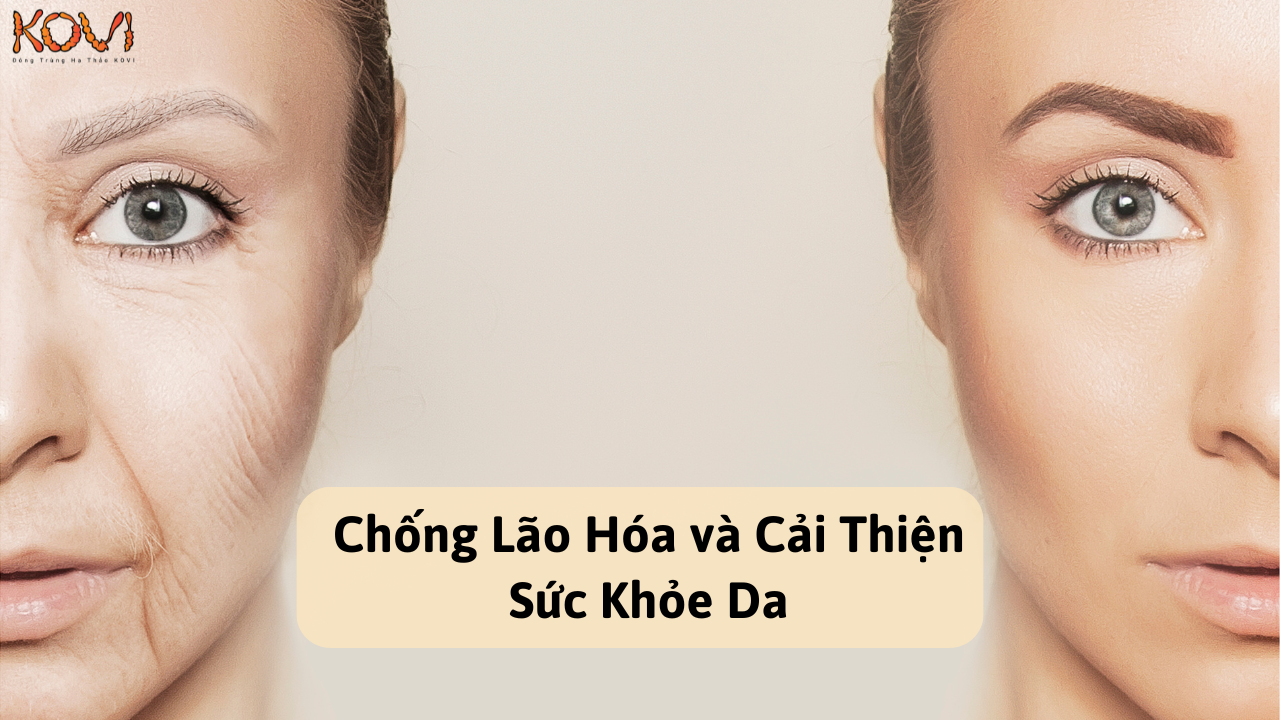 Đông trùng hạ thảo