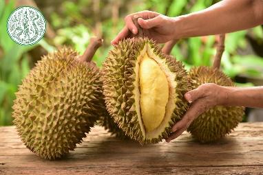 The Exotic Wonder of Thai Durians | Asian Inspirations