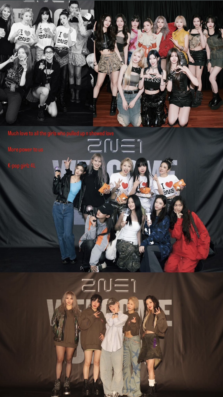 K-pop idols who attended the 2NE1 Concert.