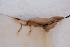 Restoration Water Damage: A Comprehensive Guide to Protecting Your Property