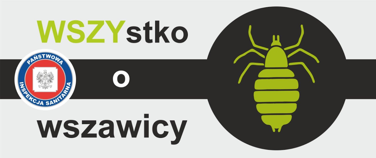 WSZYstko o wszawicy