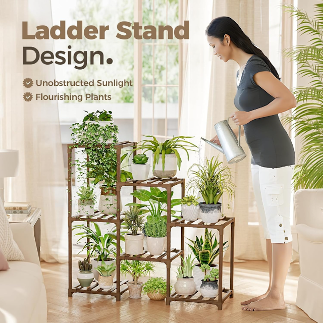 Indoor Plants for Arizona's Desert Climate