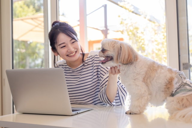 ペット可物件探しの情報収集