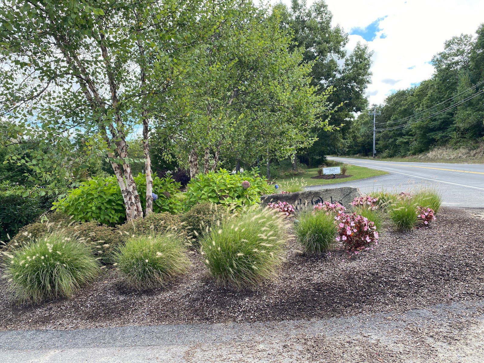 plantings created by a landscape designer