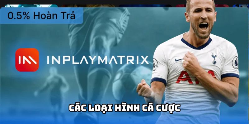 Loại hình cá cược tại cá cược thể thao V9BET - Đa dạng và dễ dàng tiếp cận