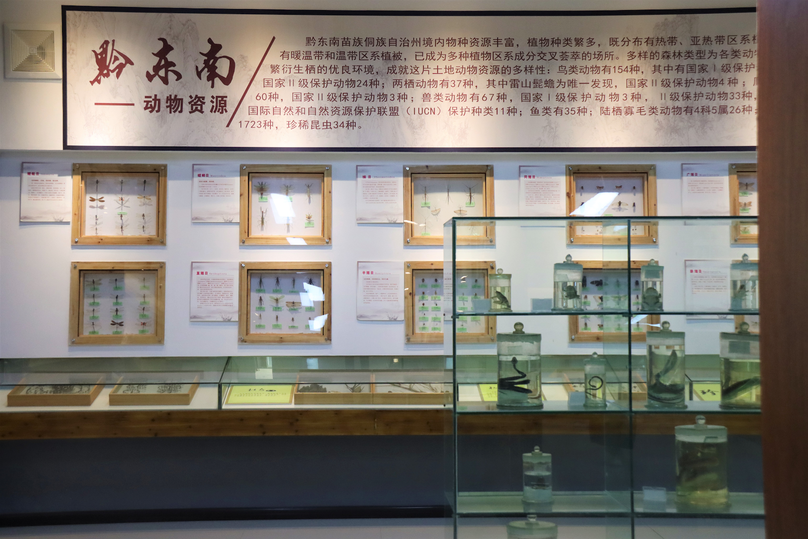 凯里学院生态馆。凯里学院供图