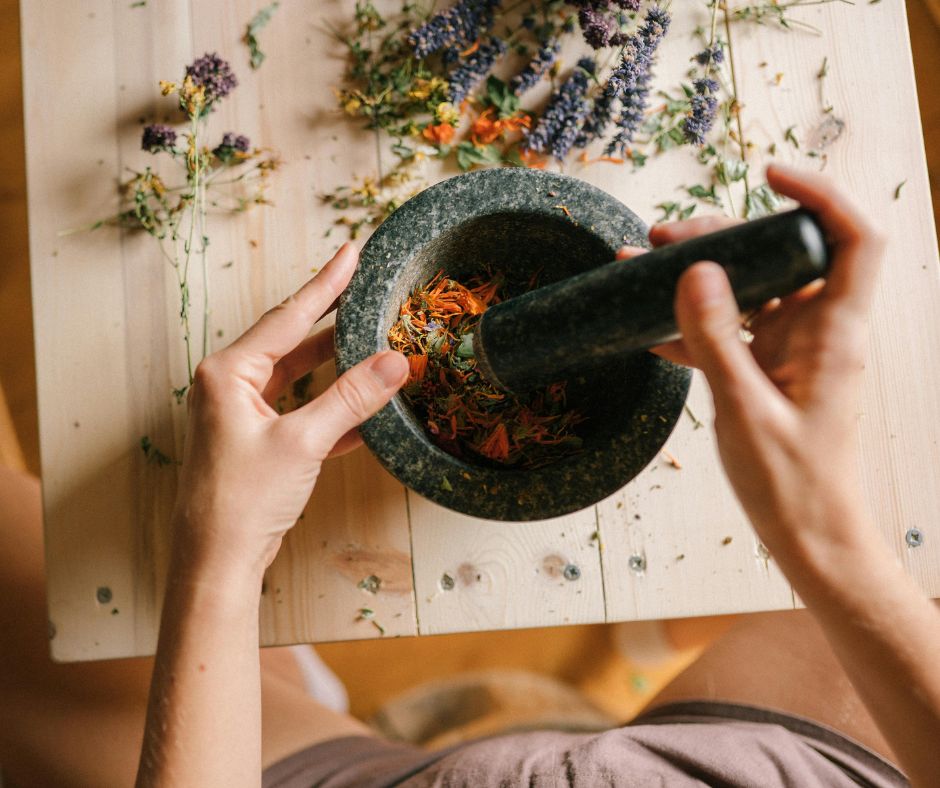 online practical herbalism at SWIHA