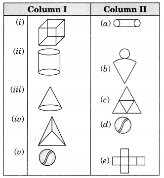 Visualising Solid Shapes Class 7 Extra Questions Maths Chapter 15 Q11