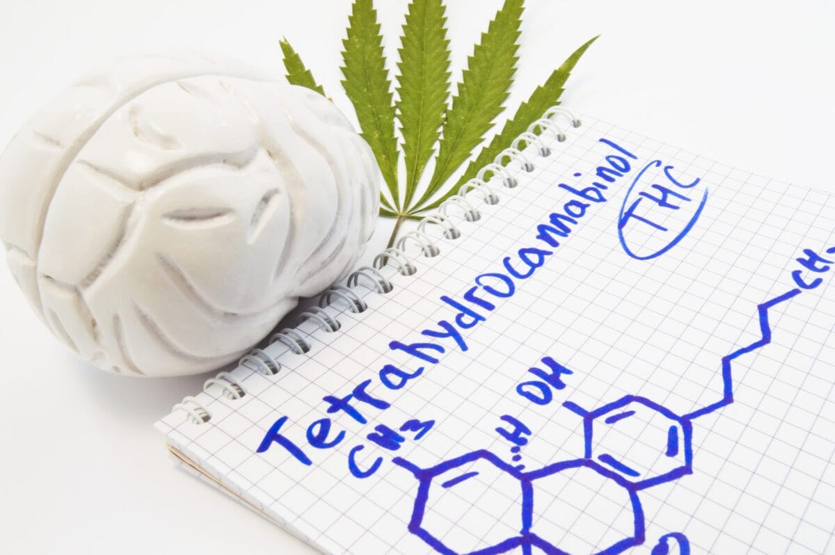 What is Tetrahydrocannabinol (THC)?