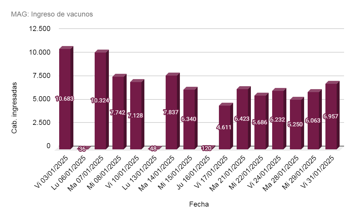 Se disparó el precio de la hacienda y no se descarta un impacto en las carnicerías