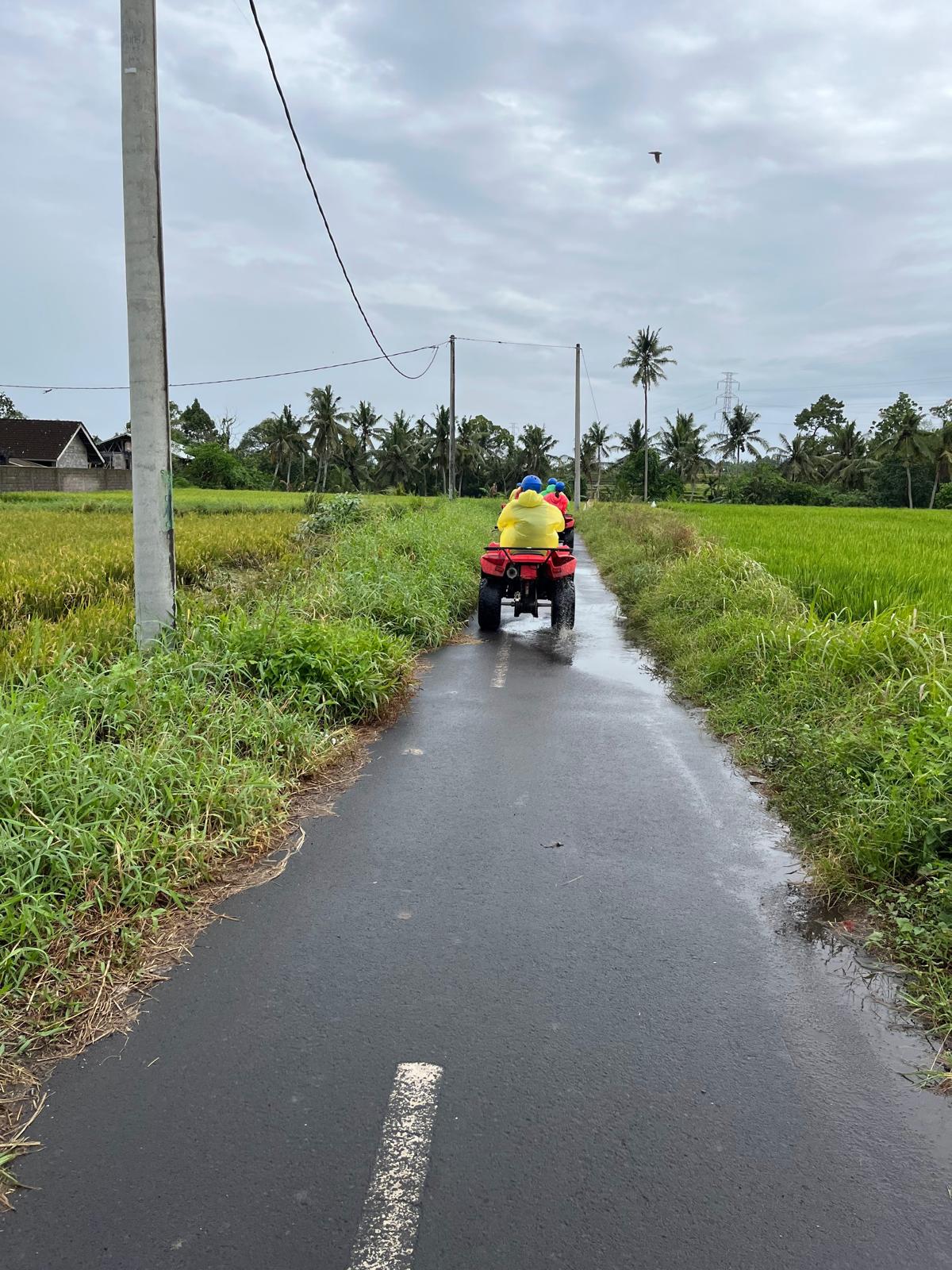 what to do in ubud - ATV and enjoy rice paddy view