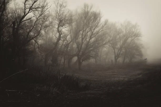 25 Wild Landscapes With No Human Trace, untouched land, wild earth, nature, landscape, remote beauty, pure nature