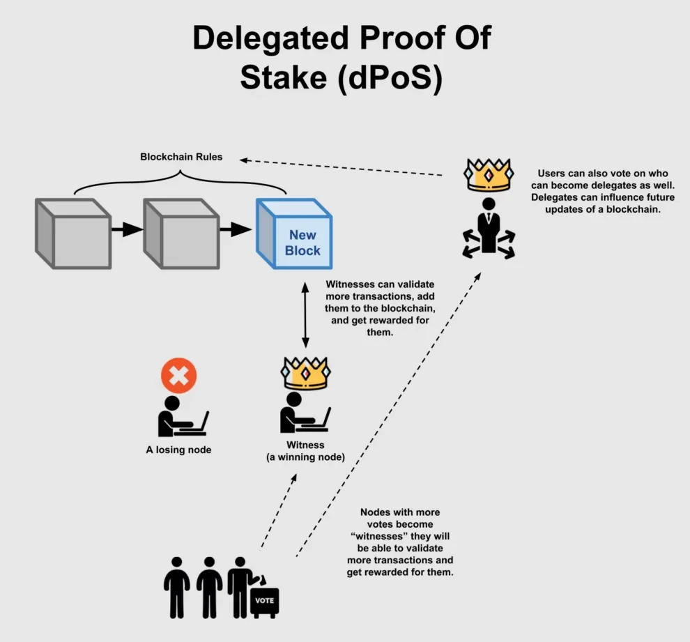 Diagram illustrating the Delegated Proof of Stake (dPOS) consensus mechanism used in blockchain networks.