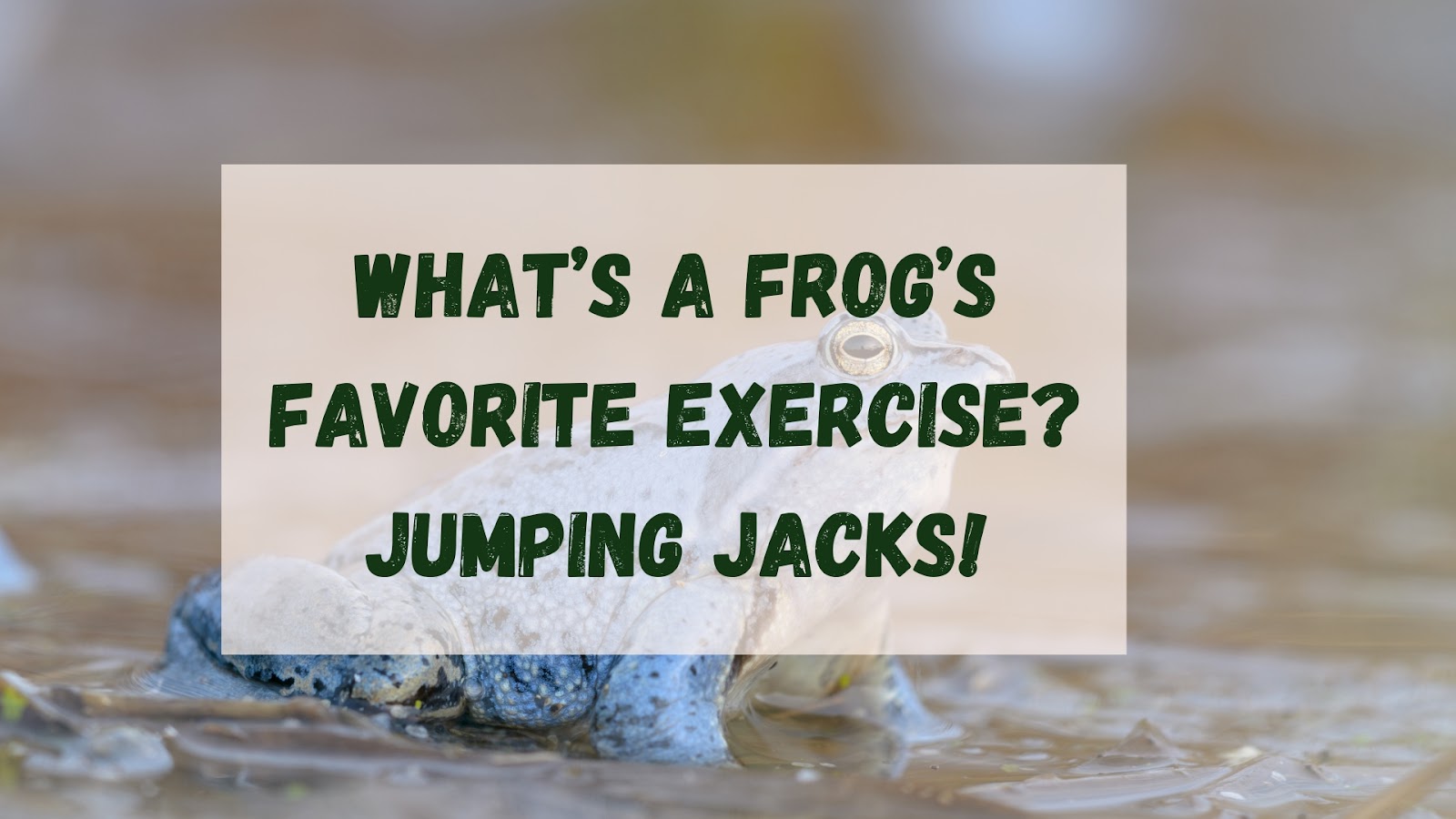 What’s a frog’s favorite exercise? Jumping jacks!