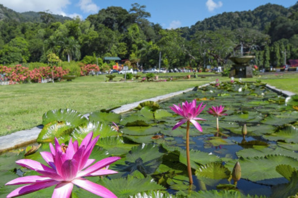 best things to do in georgetown penang Penang Botanic Garden