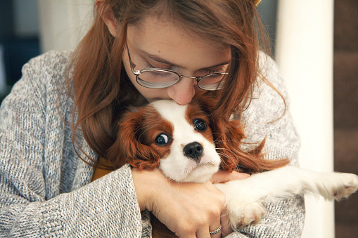 10 Affectionate Dog Breeds That Form Strong Bonds with Their Owners