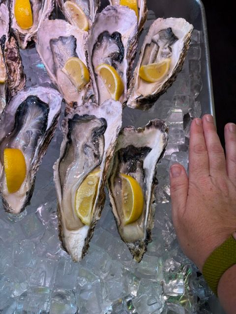 Oysters as big as your hand at Omicho Market