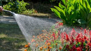 Efficient Watering Practices