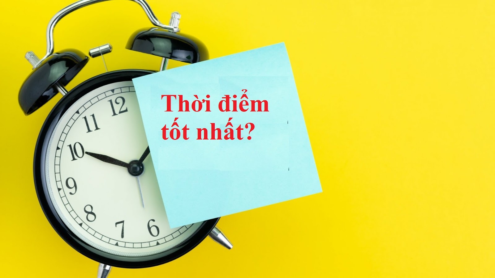AD 4nXfqZXTQ xzcdc7 CRG1loCY7ZPv3zuiE cHK rEFxIcGgXwc DXAmskUG2hT8v pXhKyJvB8aN9olztAuaE3Yhuo8GrE4WyucZvERdFl2vzh7